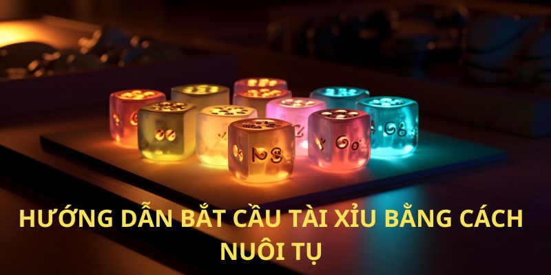 Hướng dẫn bắt cầu tài xỉu bằng cách nuôi tụ